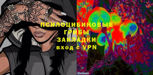 ПСИЛОЦИБИНОВЫЕ ГРИБЫ Осинники