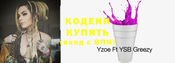 ПСИЛОЦИБИНОВЫЕ ГРИБЫ Осинники