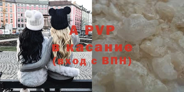 ПСИЛОЦИБИНОВЫЕ ГРИБЫ Осинники