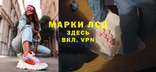 ПСИЛОЦИБИНОВЫЕ ГРИБЫ Осинники