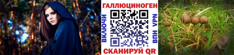 Псилоцибиновые грибы мицелий  Ивантеевка 