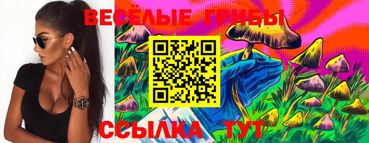 Псилоцибиновые грибы Magic Shrooms Ивантеевка